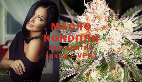 индика Бронницы