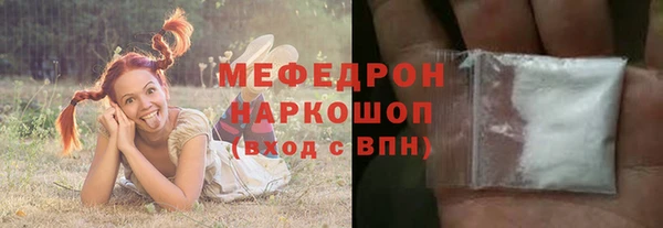 индика Бронницы