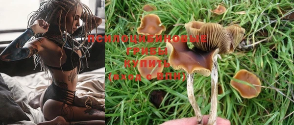 индика Бронницы