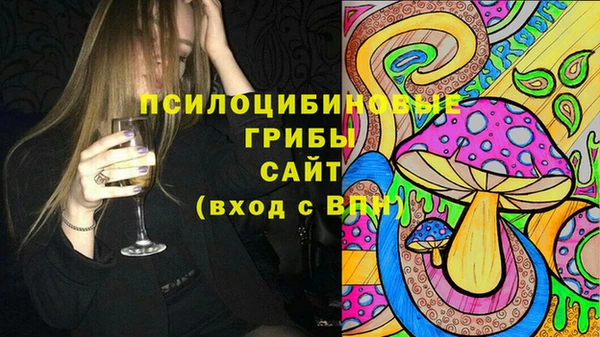 индика Бронницы