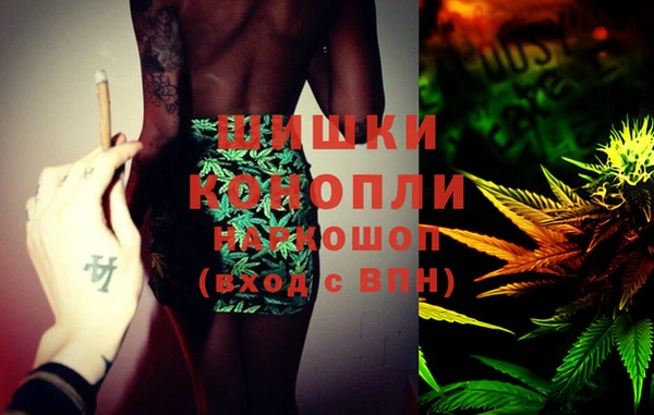 индика Бронницы