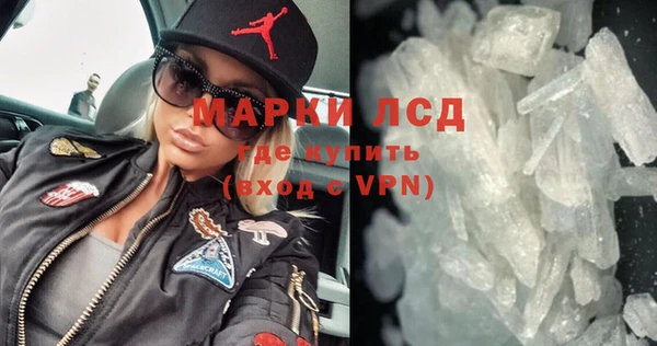 индика Бронницы