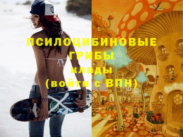 индика Бронницы