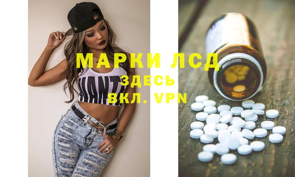 индика Бронницы