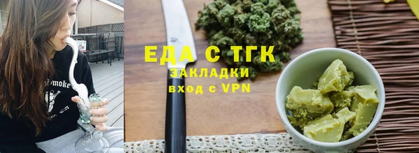 индика Бронницы