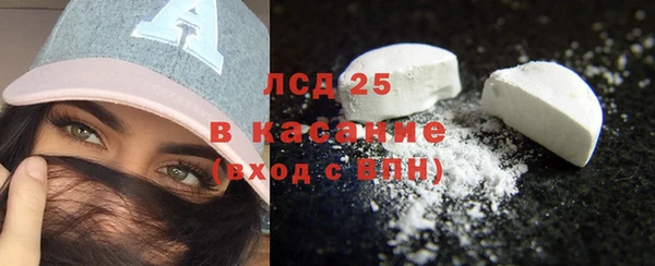 индика Бронницы