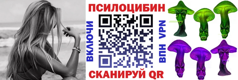 Купить закладки  Первомайск  Галлюциногенные грибы мухоморы 