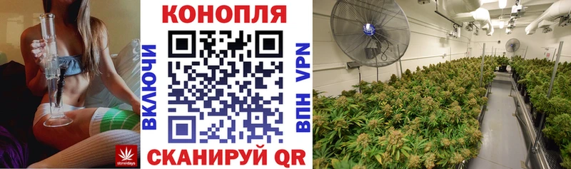 Купить закладки Первомайск Бошки Шишки THC 21%
